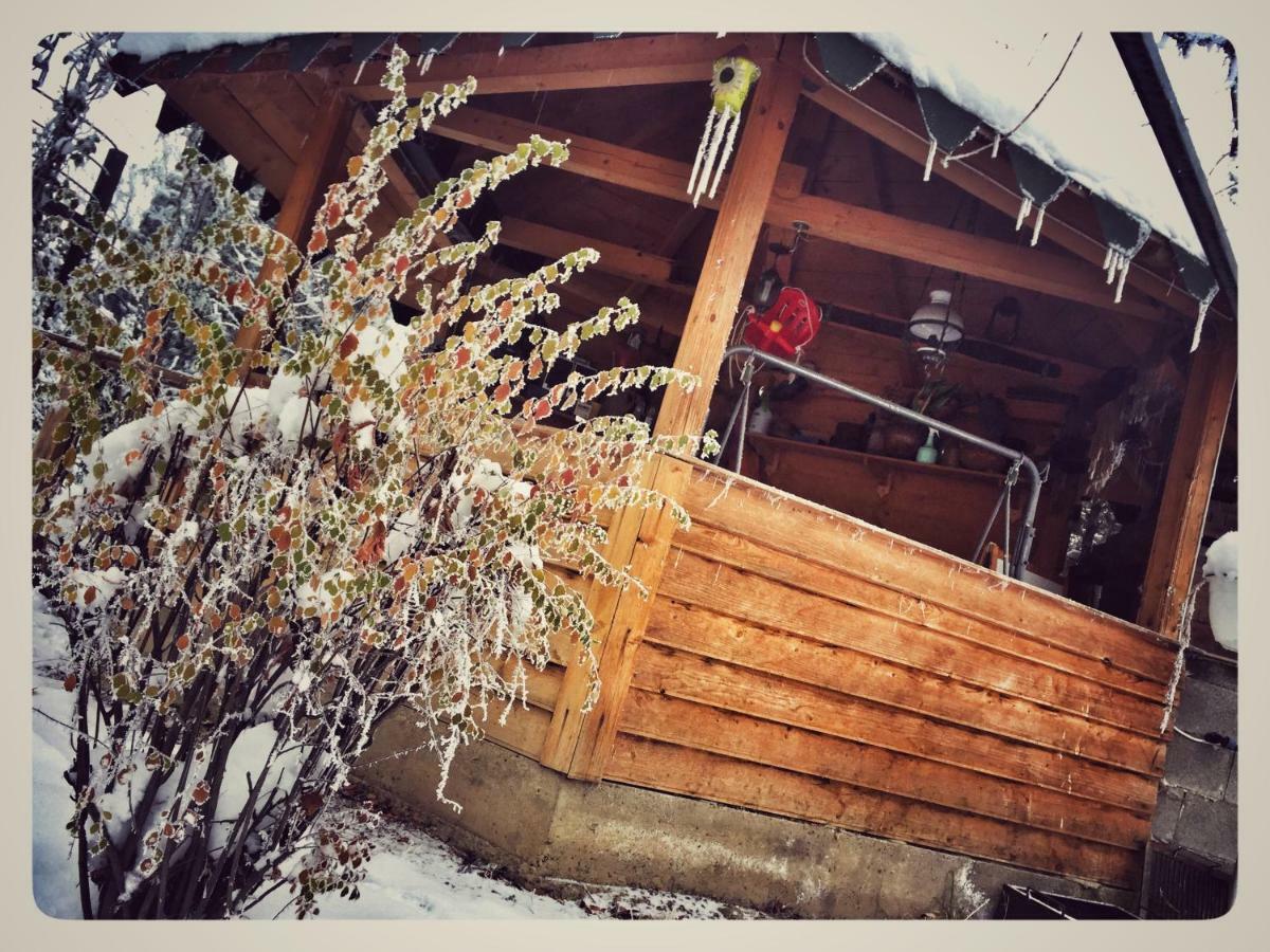 Eco Travel Apartamento Suceava Exterior foto
